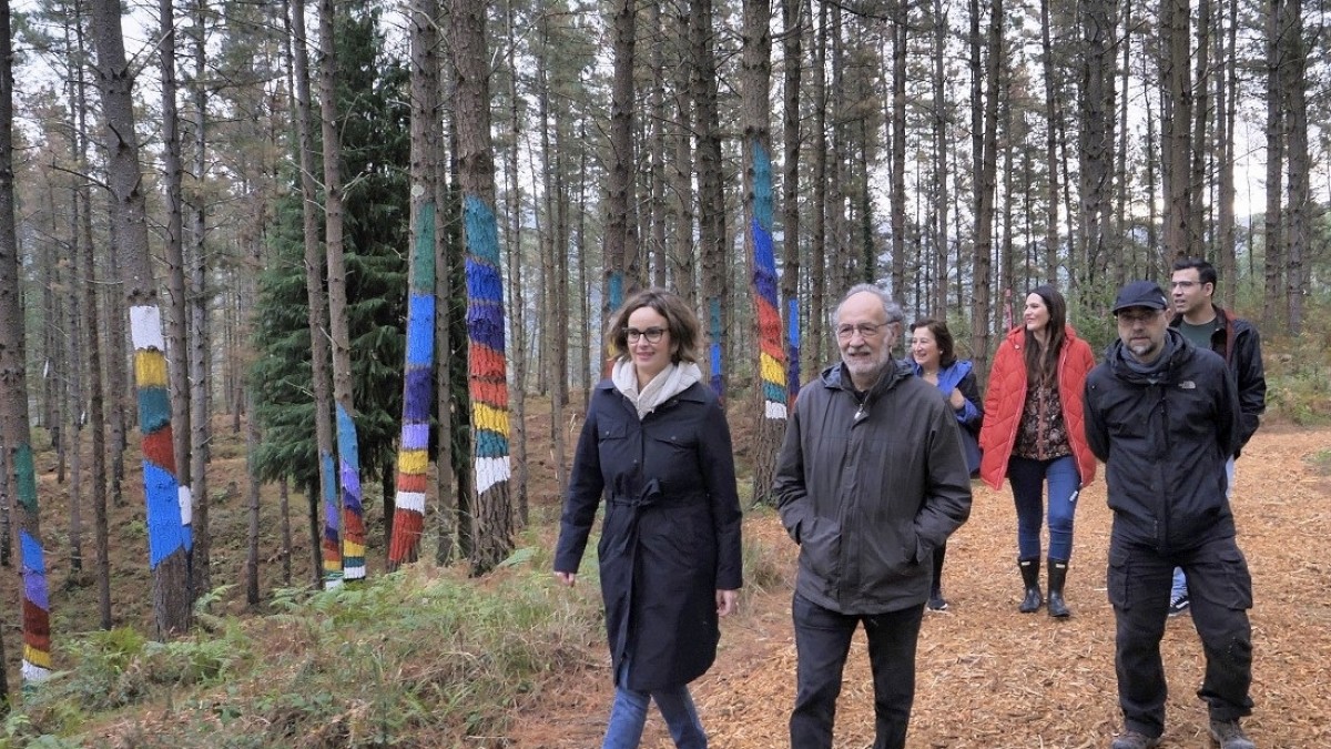 Bizkaia culmina la migración de El Bosque de Oma y abre la obra de Agustín Ibarrola al público