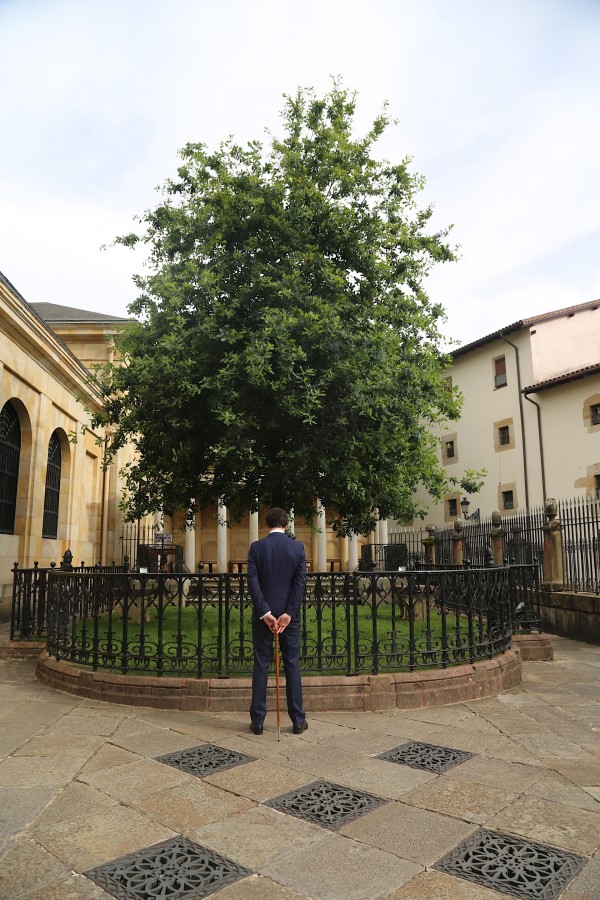 Unai Rementeria reelegido Diputado General de Bizkaia